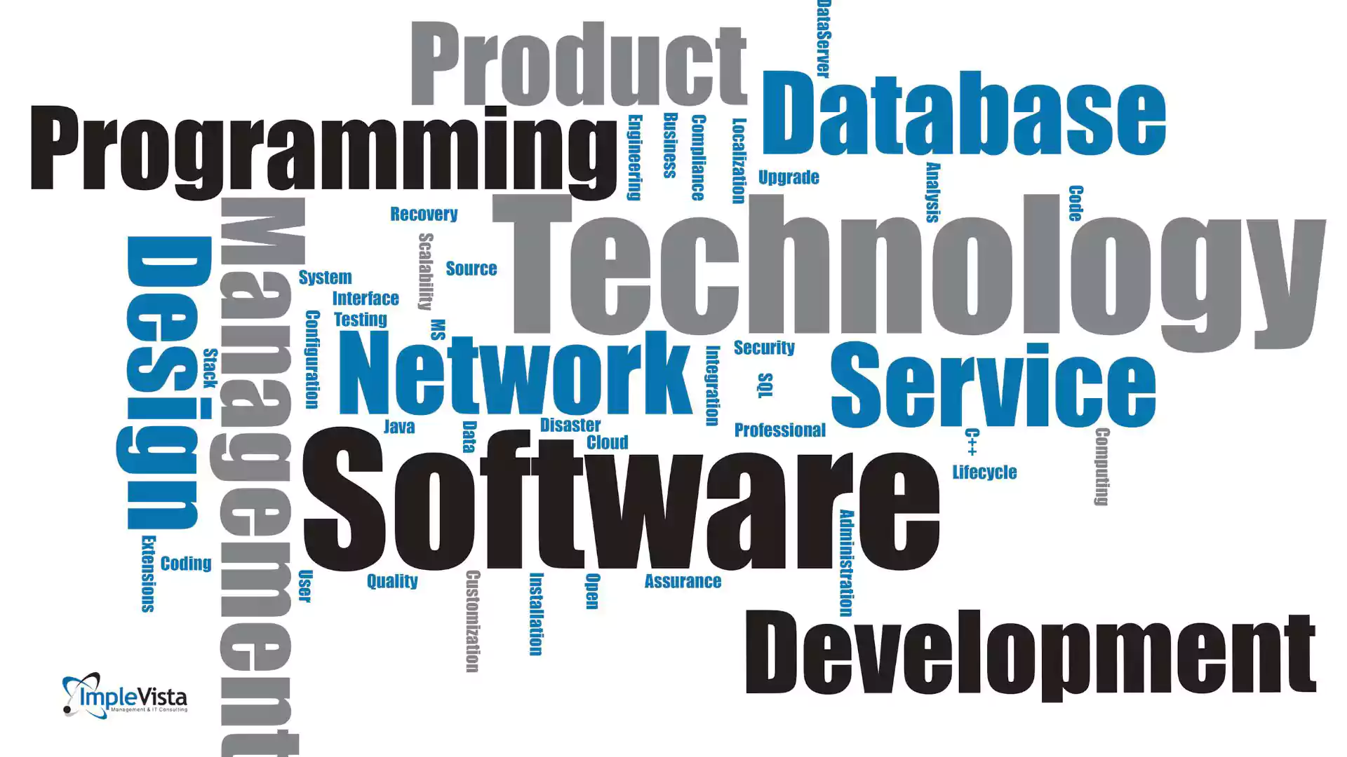 digital Implevista for the Software Industry