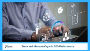 seo performance