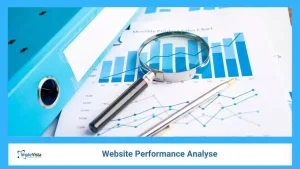 website performance analyse