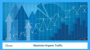 Organic Traffic