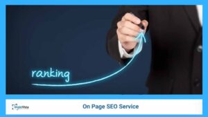 on Page SEO Service